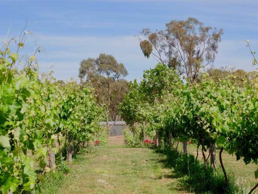 Heart of Gold Vineyard, Wineries in Mandurang