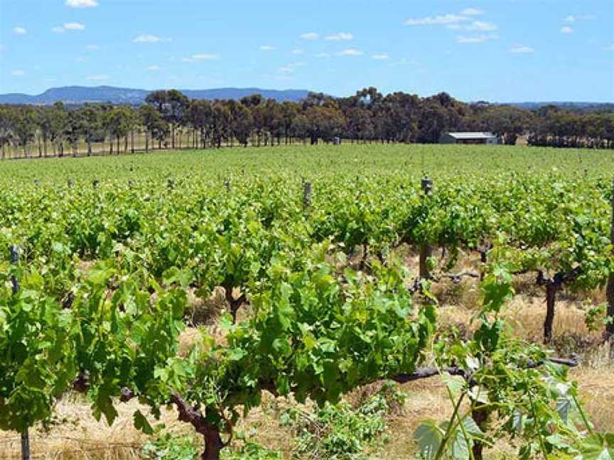 Kimbarra Wines, Ararat, Victoria