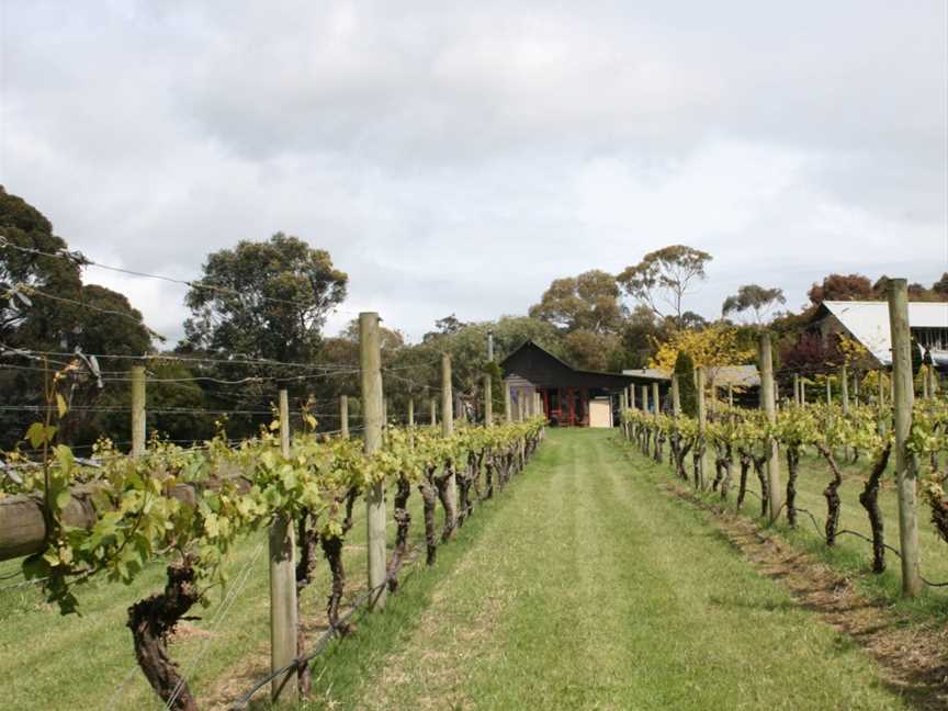 Kings Creek Vineyard, Wineries in Balnarring