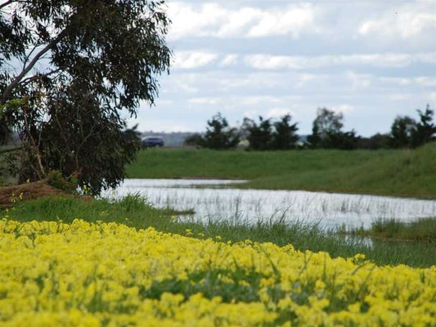 Kisaan Estate Winery, Wineries in Connewarre