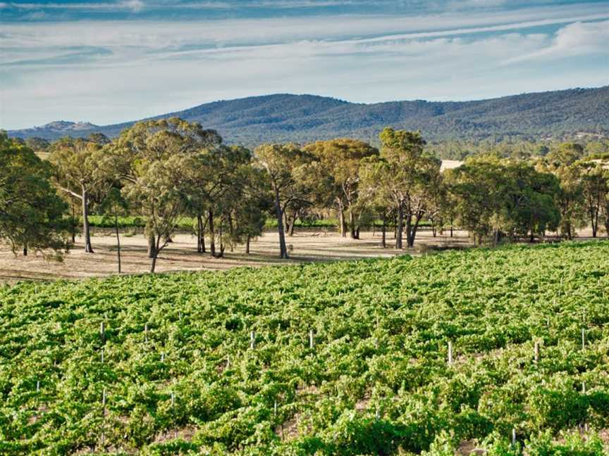 La Pleiade, Heathcote, Victoria