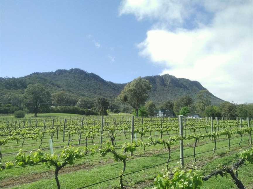 Mount Cathedral Vineyards, Taggerty, Victoria