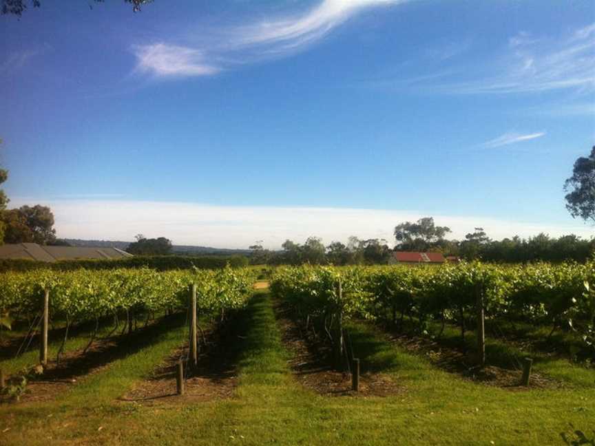 Phaedrus Estate, Wineries in Moorooduc