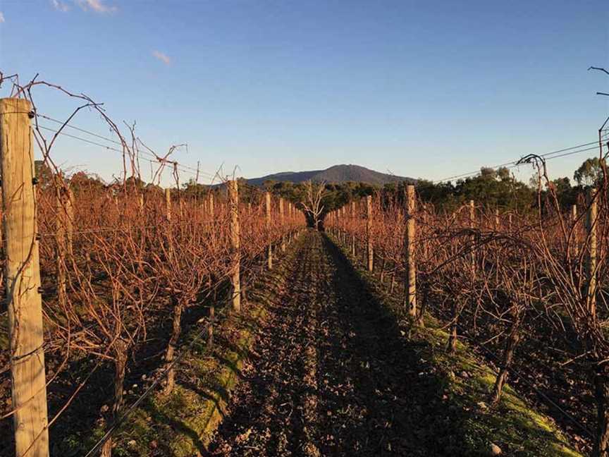 Pimpernel Vineyards, Coldstream, Victoria