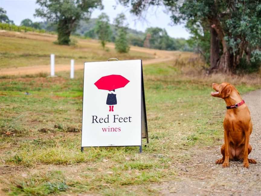 Red Feet Wines, King Valley, Victoria