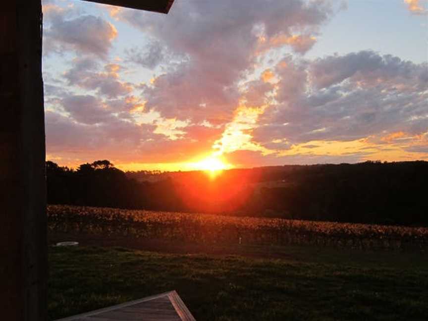 Red Ridge Vineyard, Red Hill South, Victoria