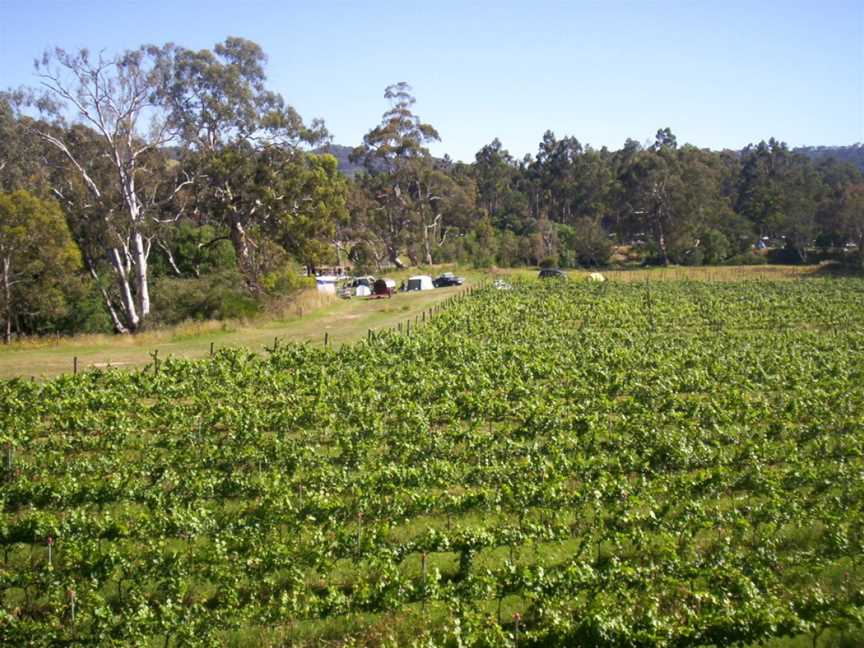 Snobs Creek Wines, Toolleen, Victoria