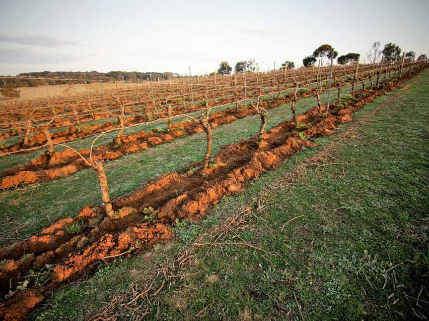 Spence, Murgheboluc, Victoria