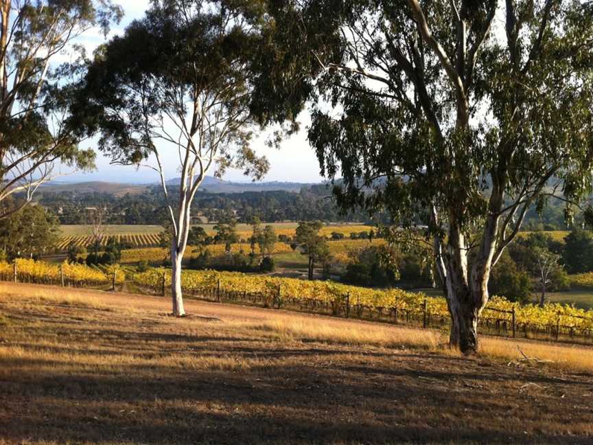 Sutherland Estate, Dixons Creek, Victoria