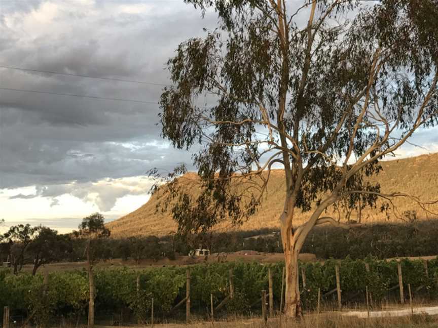 Utter Wines, Buxton, Victoria