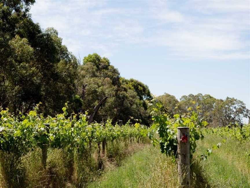 Wando Lodge Wines, Wineries in Casterton