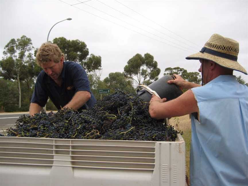 Ballycroft Vineyard & Cellars, Greenock, South Australia