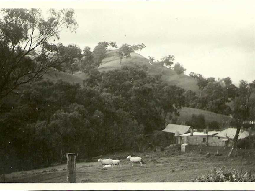 Bartagunyah Estate, Melrose, South Australia