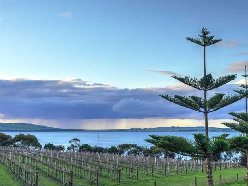 Bay of Shoals Wines, Kingscote, South Australia