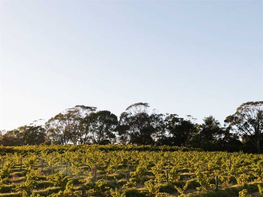 Bondar Wines, McLaren Vale, South Australia