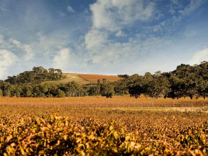 Chalk Hill, McLaren Vale, South Australia