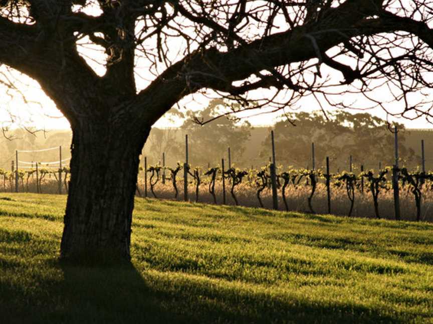 Clos Clare, Watervale, South Australia