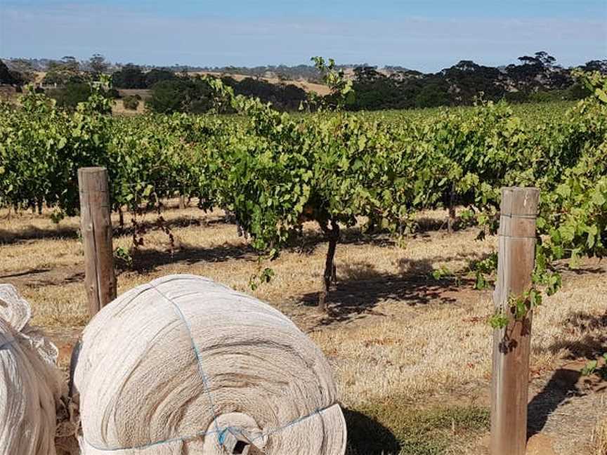 Garden & Field, Moculta, South Australia