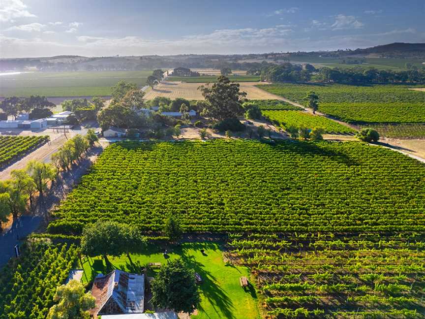 Gibson, Wineries in Light Pass
