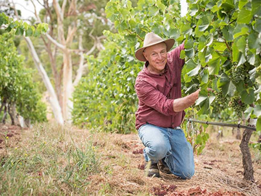 Hahndorf Hill Winery, Hahndorf, South Australia