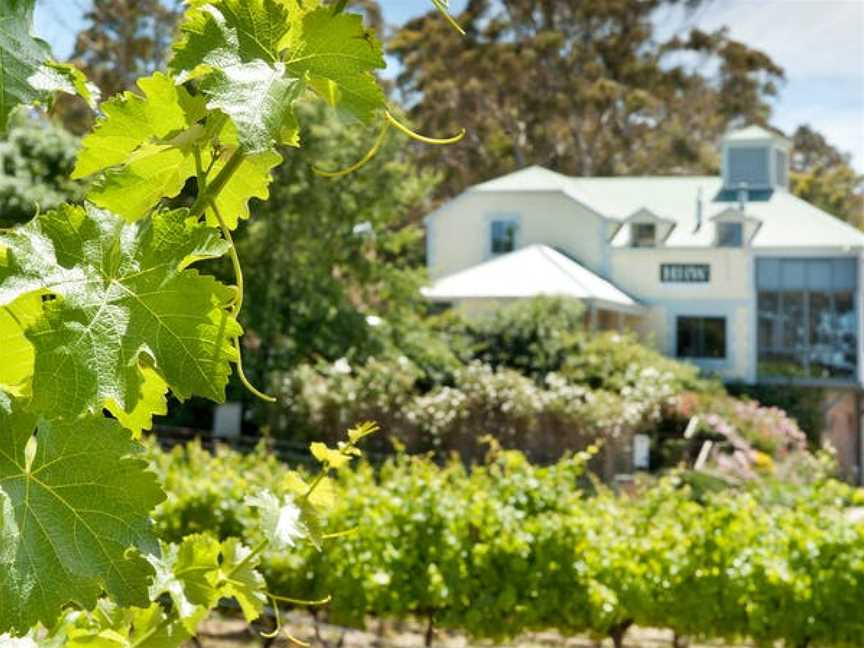 Hahndorf Hill Winery, Hahndorf, South Australia