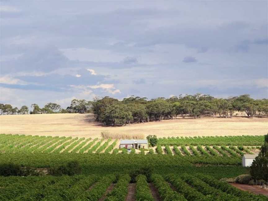 Hayes Family Wines, Stone Well, South Australia