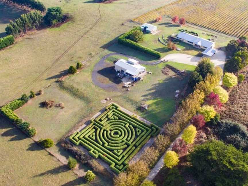 Herbert Vineyard, Mount Gambier, South Australia