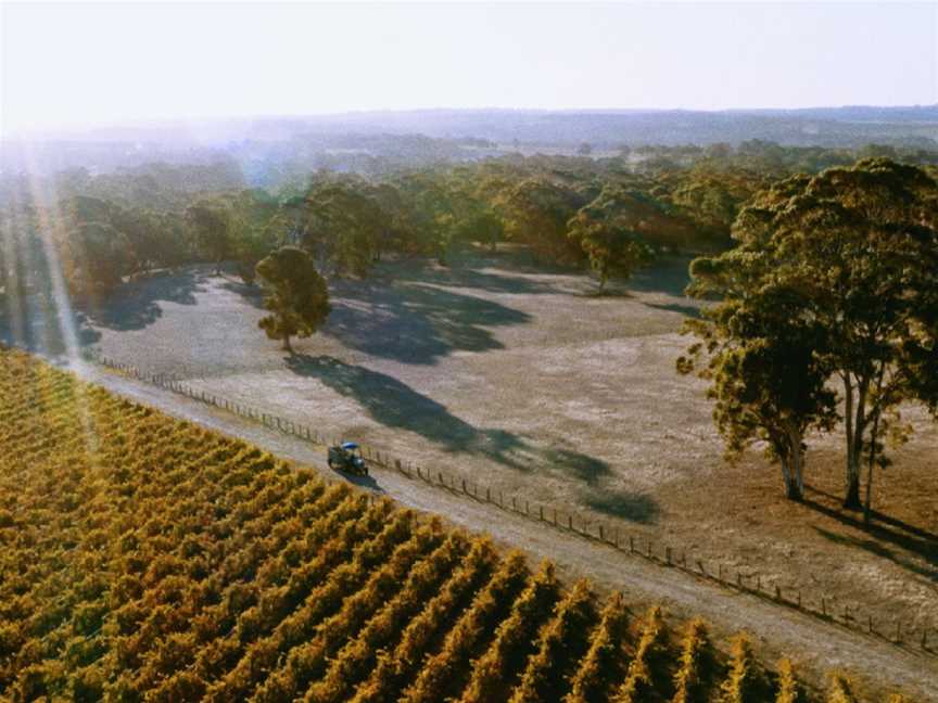 Hither & Yon, Willunga, South Australia