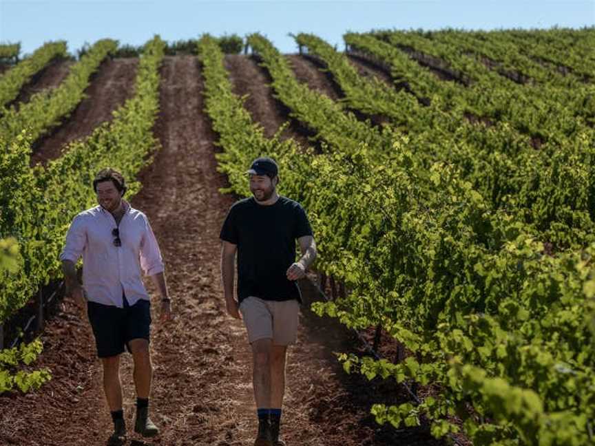 Koerner Wine, Leasingham, South Australia