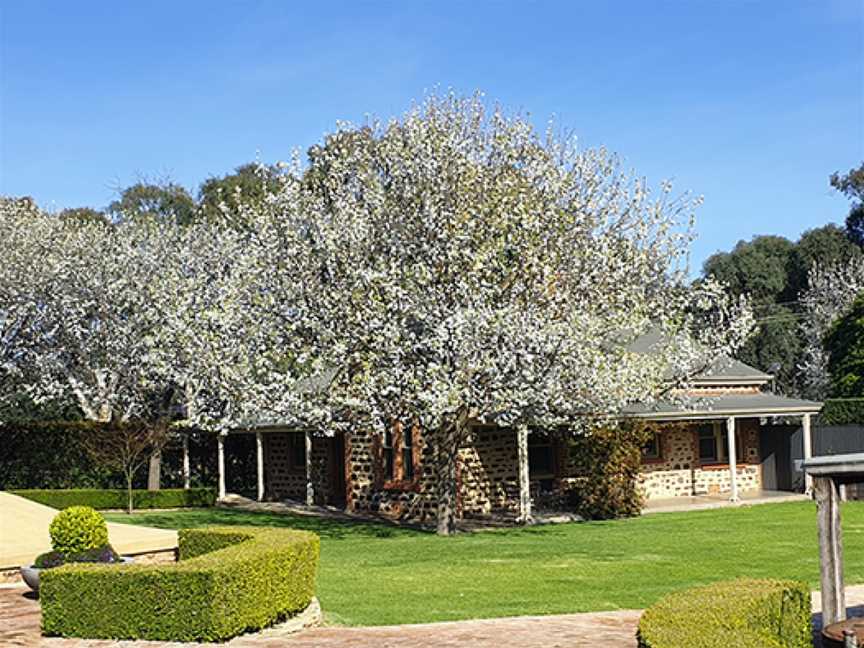 Langmeil Winery, Tanunda, South Australia