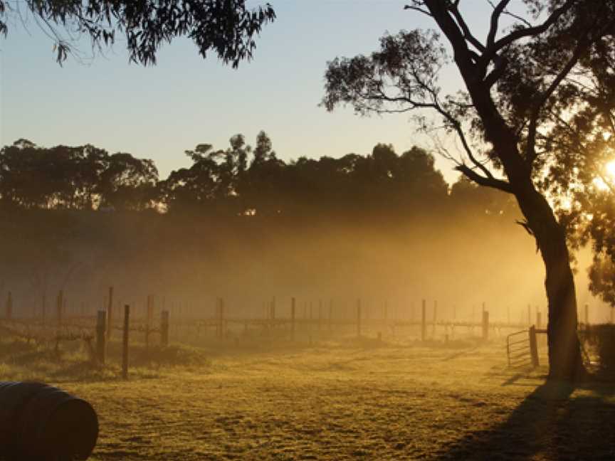 Magpie Springs Winery Cellar Door, Hope Forest, South Australia