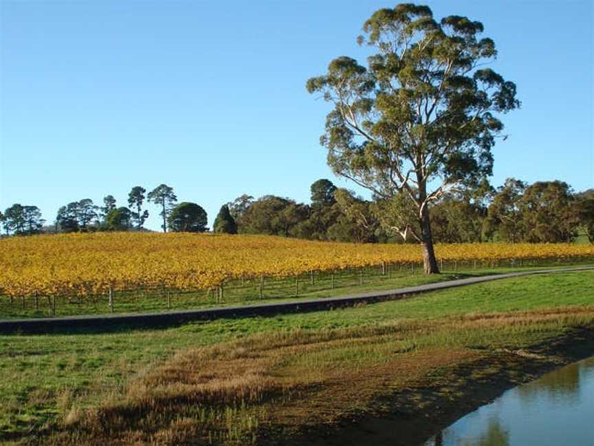 Malcolm Creek Vineyard, Kersbrook, South Australia
