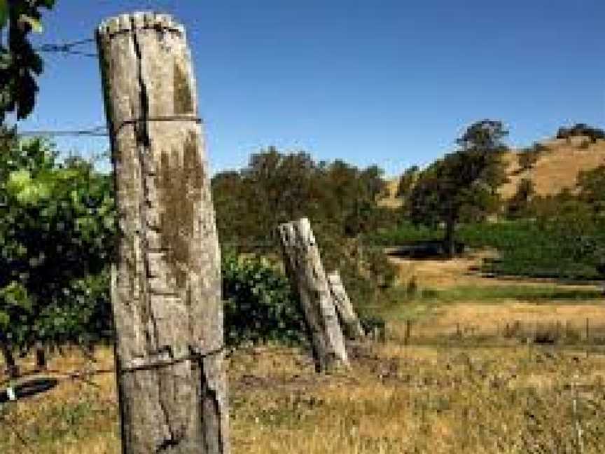 Maverick Wines, Krondorf, South Australia