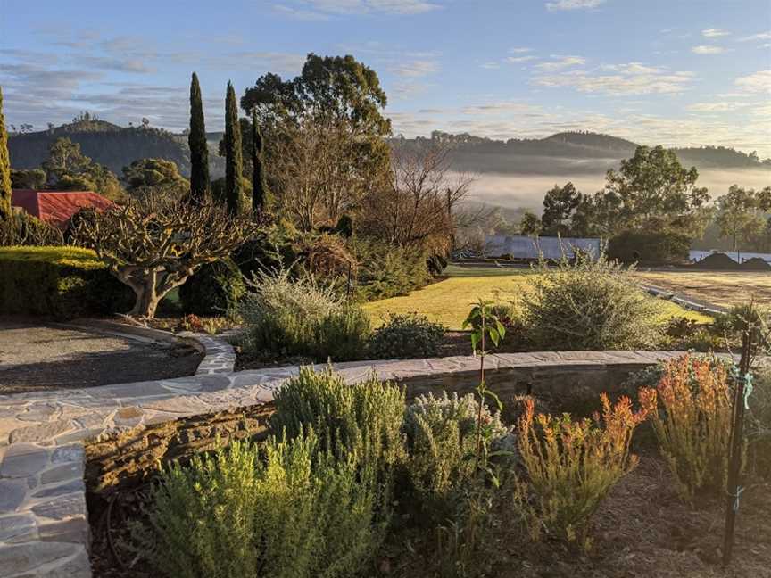 Mt Bera Vineyards, Gumeracha, South Australia