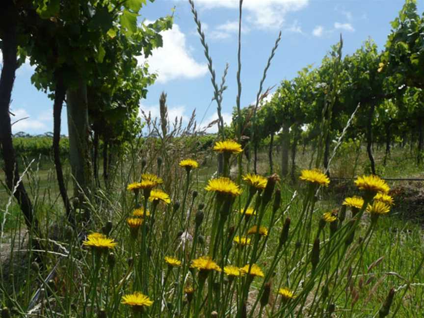 Mt Jagged Wines, Mount Jagged, South Australia