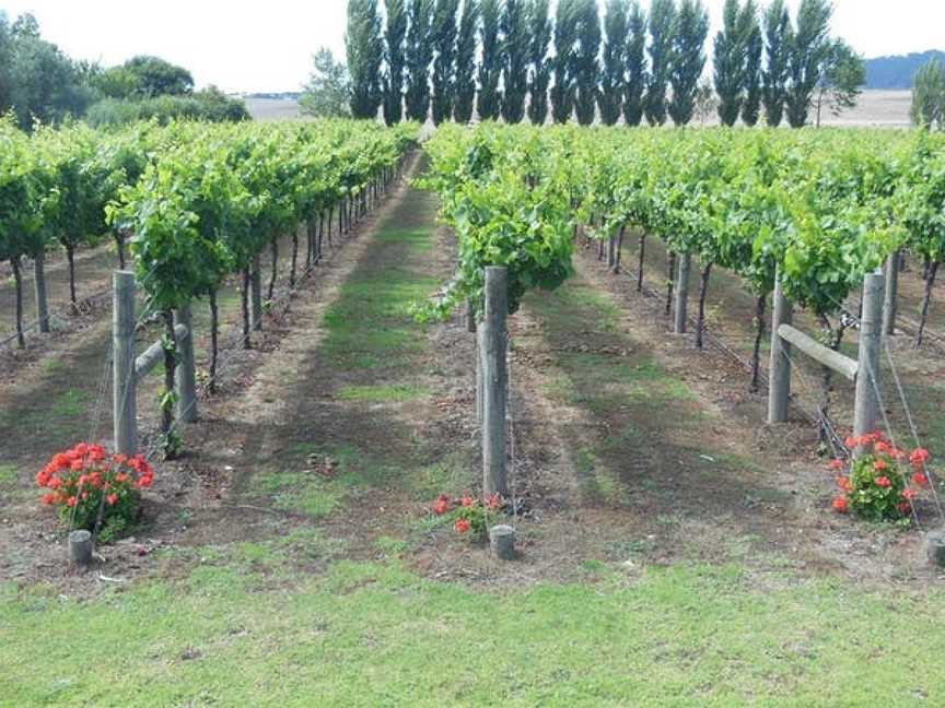 Noski Wines, Moorak, South Australia