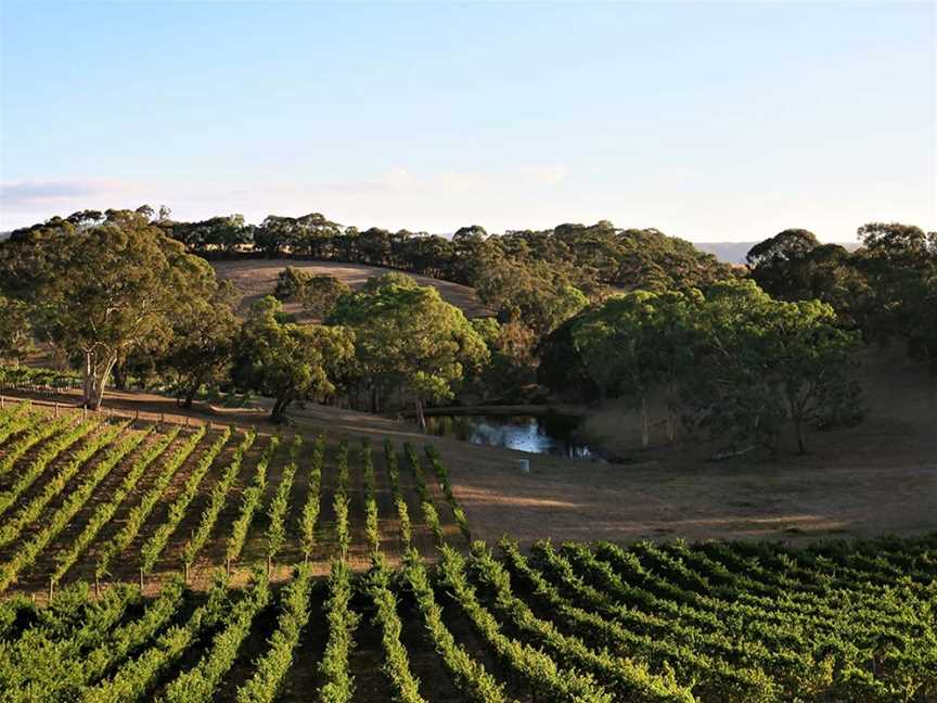 Paracombe Wines, Paracombe, South Australia