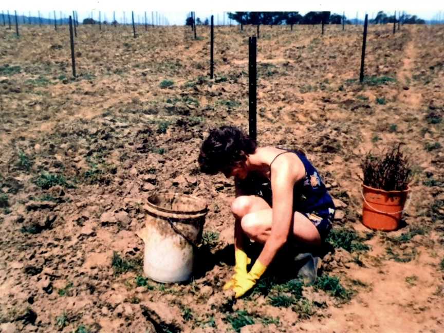 Paracombe Wines, Paracombe, South Australia