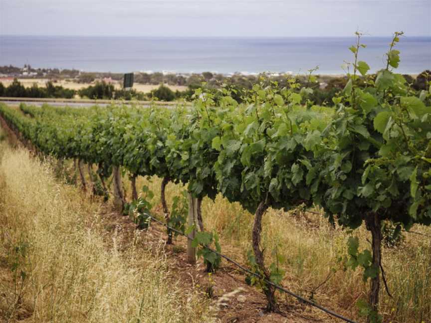 Rudderless Wines, Sellicks Hill, South Australia