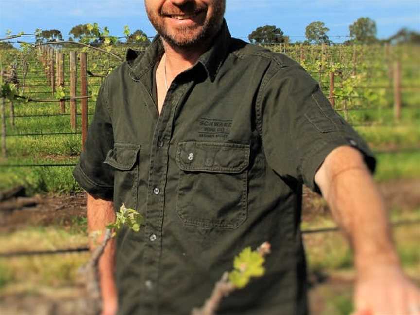 Schwarz Wine Co, Tanunda, South Australia