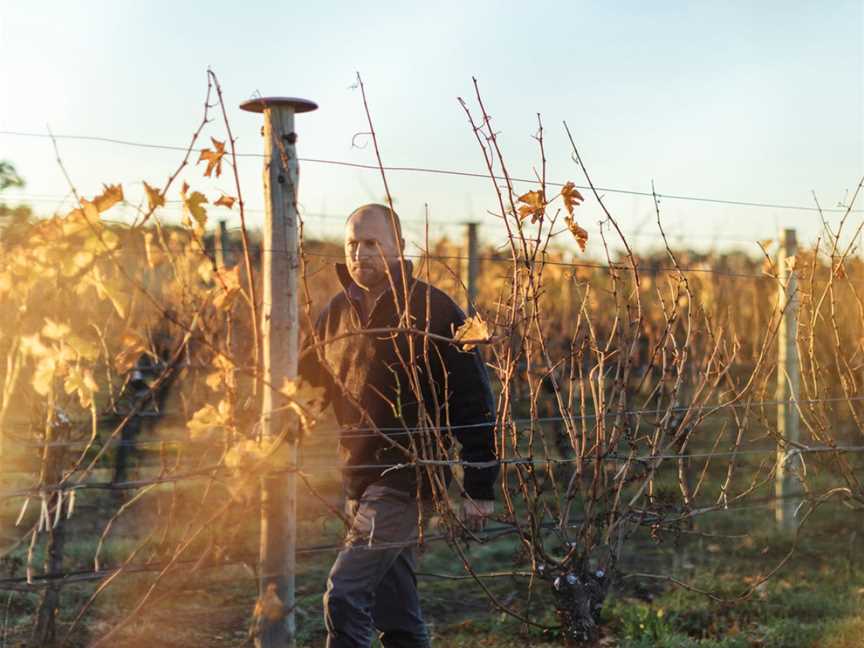 Simon Tolley Wines, Woodside, South Australia