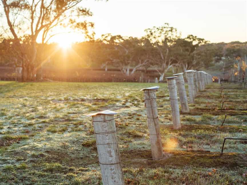 Simon Tolley Wines, Wineries in Woodside