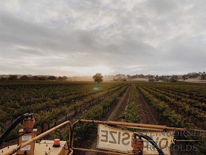 Steinborner & Reynolds Family Vineyards, Tanunda, South Australia