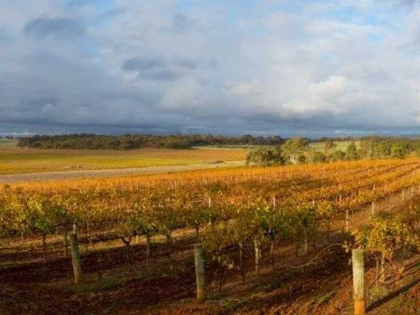 The Cutting, Tanunda, South Australia