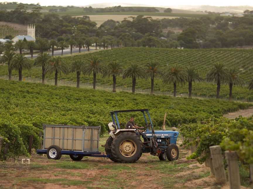 Tscharke, Wineries in Marananga