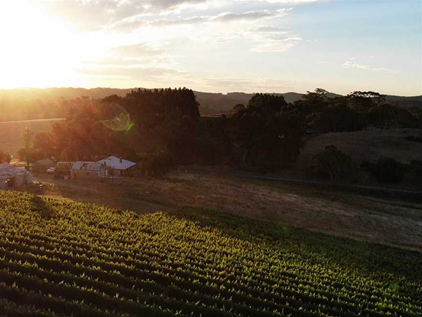 Vinteloper, Hay Valley, South Australia