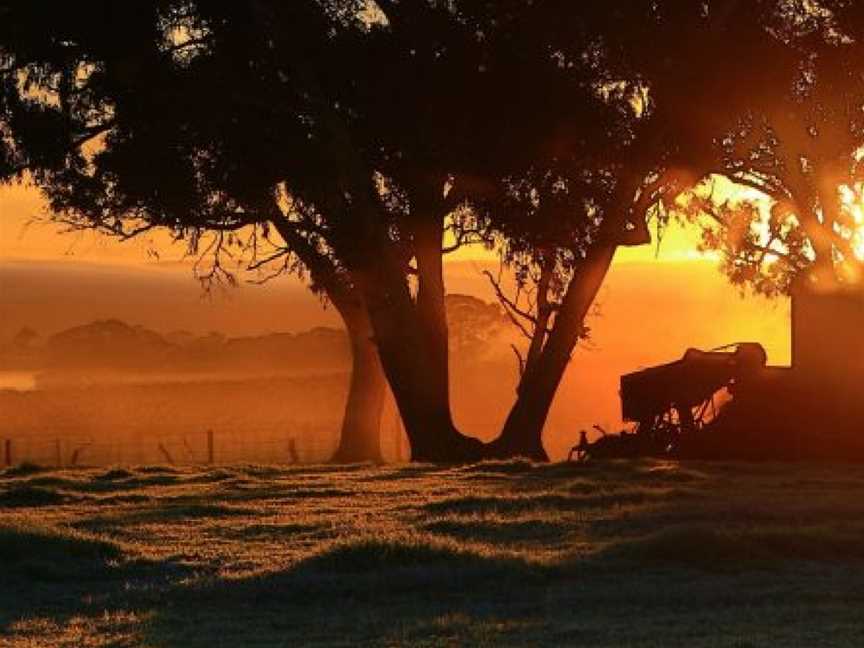 Westlake Vineyards, Koonunga, South Australia