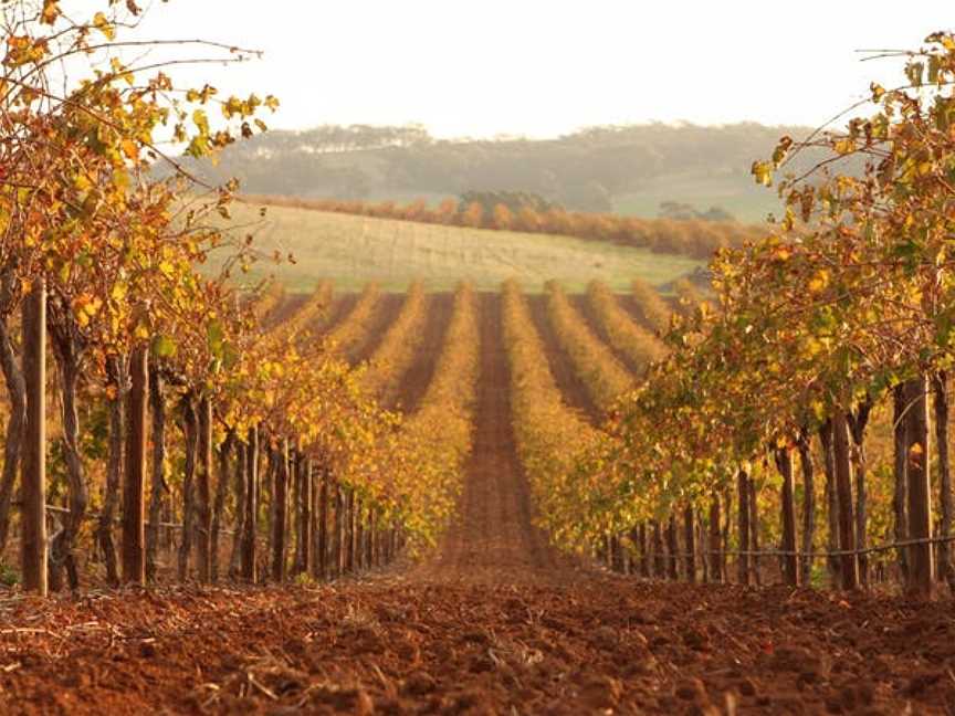 Westlake Vineyards, Wineries in Koonunga
