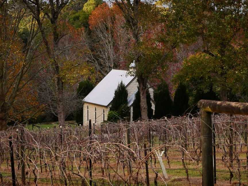 Cedar Creek Estate, Wineries in Tamborine