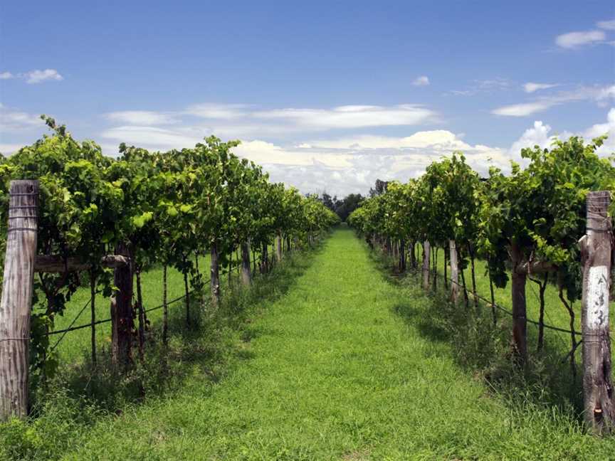 Riversands Vineyards, Wineries in St George